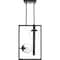 Progress Lighting Atwell Collection Black Two-Light Pendant P500284-031 - alternate 9
